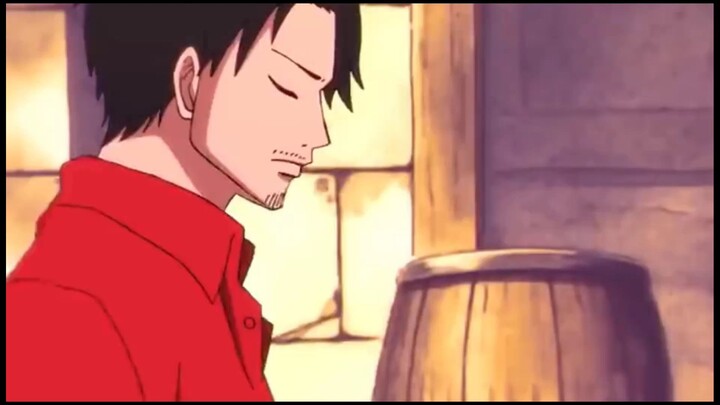 luffy 25 years old