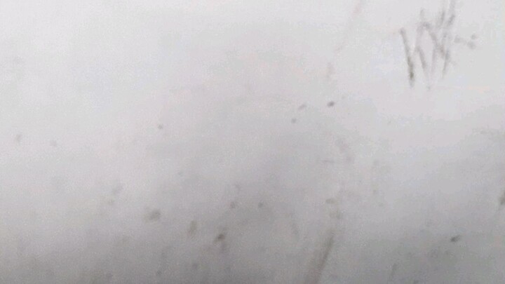 firs fight dehado pa kami quality manok ng kalaban hehehe