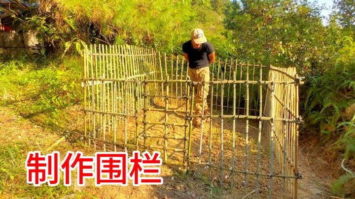 Sanhua snuck a peek at my seed collection. After I built a fence, I decided to turn Sanhua into a be