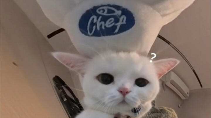 Xem hết loạt video “Đầu to kem sữa” chỉ trong một lần!