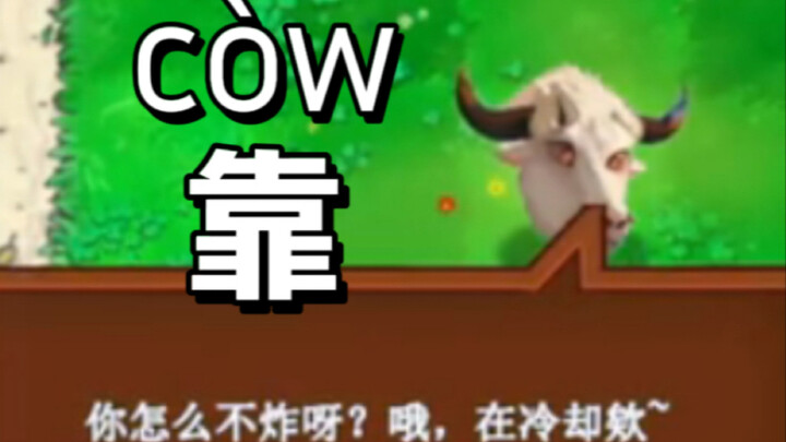 指导谁呢？说话！！