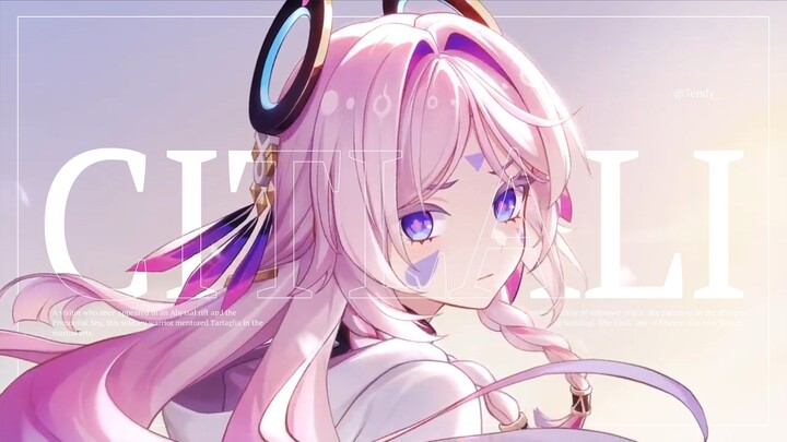 Citlali - Honeypie【AM】