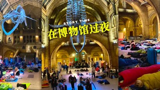 伦敦自然历史博物馆举办的「过夜」活动‼️终于能和恐龙睡在一起了