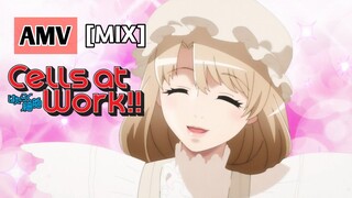 Cells At Work, AMV [MIX]Macrophage💕Sweet But Psycho