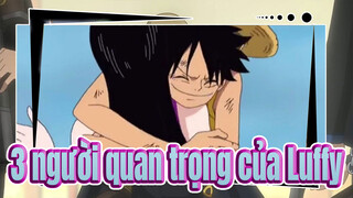 3 người Luffy từng ôm, đều là tình yêu đích thực