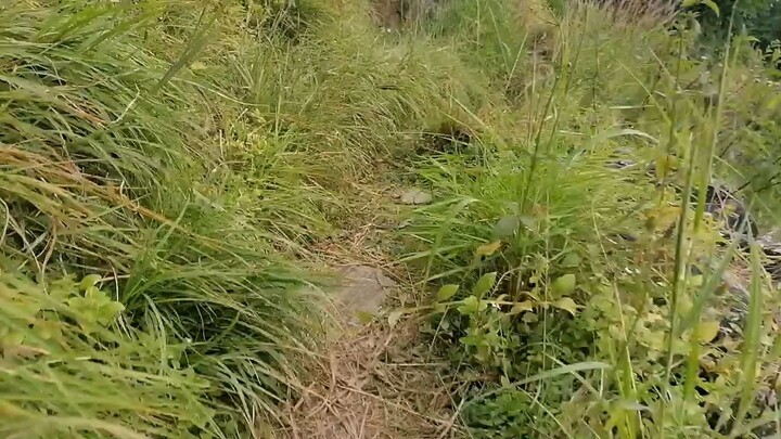 Nuwakot..🇳🇵🇳🇵🇳🇵