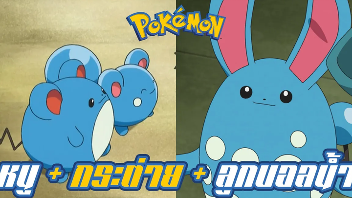 Pokemon Profile Ruriri Maril Marilli หนู + กระต่าย + ลูกบอลน้ำ จะได้ออกมาเป็นโปเกมอน