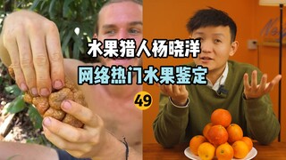 【水果猎人】网络热门水果鉴定49