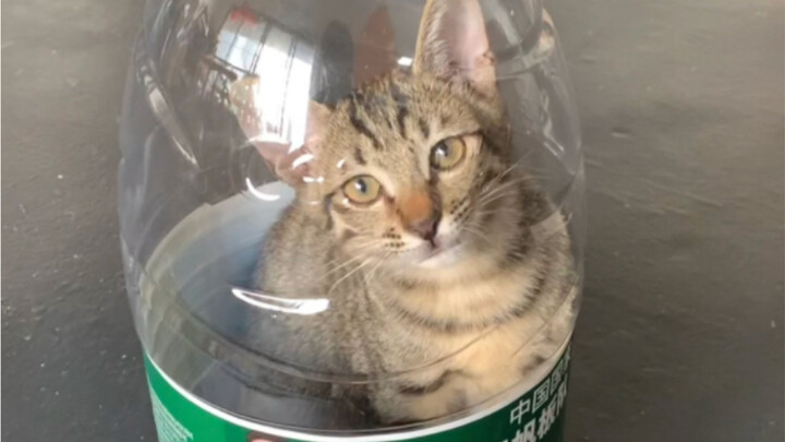 I got reported for catfishing.