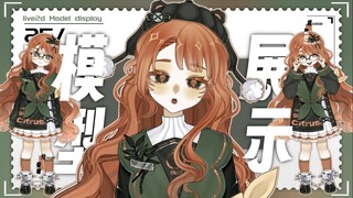 【live2d量贩模型｜苦柑橘】高精vb面捕+一键大小变的橘发少女！tag；公皮/量贩/多次售卖/成品皮套