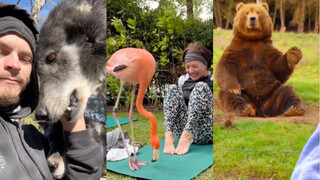 Wild animals: "Humans, I kinda like you."