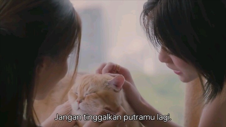 Moon shadow eps 8