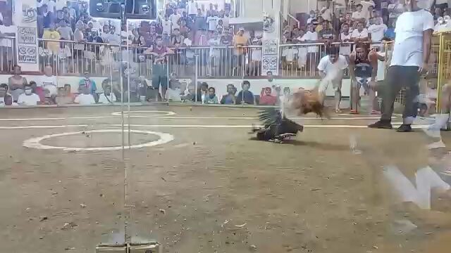 2nd fight sweater gold hack fight November 2 2025