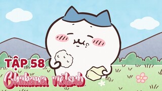 Chiikawa vietsub Tập 58. Học Bài/ Giờ Ăn Trưa