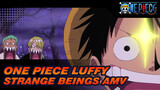 Luffy Wants To Invite Every Strange Being He Sees Onboard!