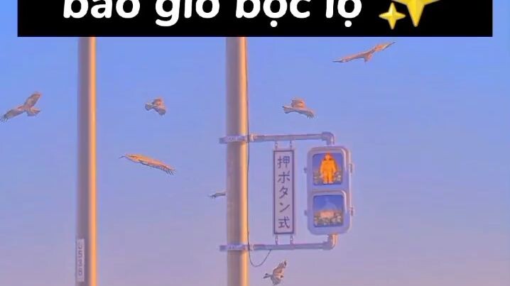 #12 cung hoàng đạo trong ngầm