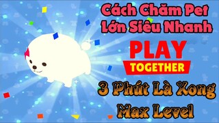 Play Together | Cách Chăm PET Lớn Siêu Nhanh Chỉ Vài Phút Là Xong :))