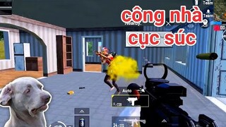 PUBG Mobile - Trên Tay Uzi Bắn Như 1 Cái Máy | Công Nhà &quot;Chó Điên&quot; Khiến Địch Hoảng Sợ =))