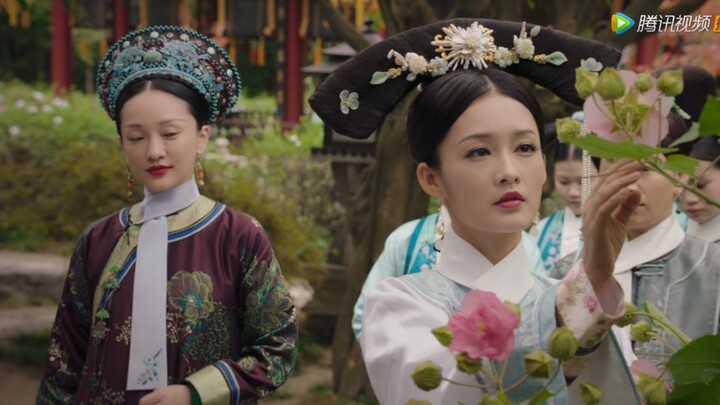 【如懿传】此花唤做美人面..