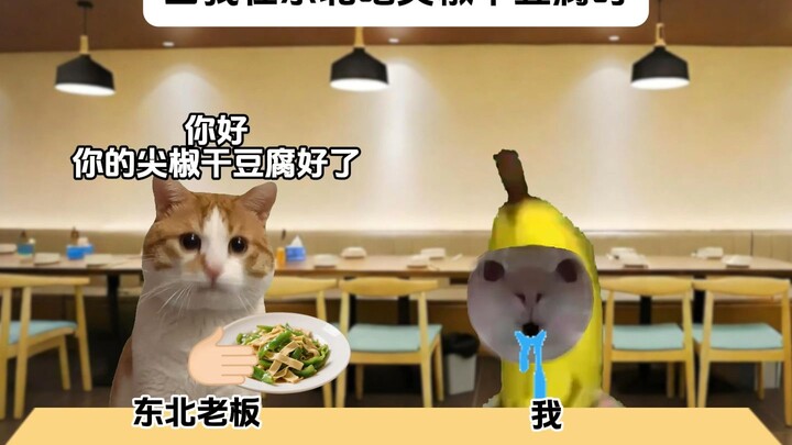 Khi tôi đang ăn đậu phụ khô xào ớt nhọn ở Đông Bắc