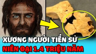 💥 Hóa thạch "NGƯỜI TIỀN SỬ" CỔ XƯA NHẤT cách đây 1.4 triệu năm ở Tây Ban Nha | TIN GIẢI TRÍ