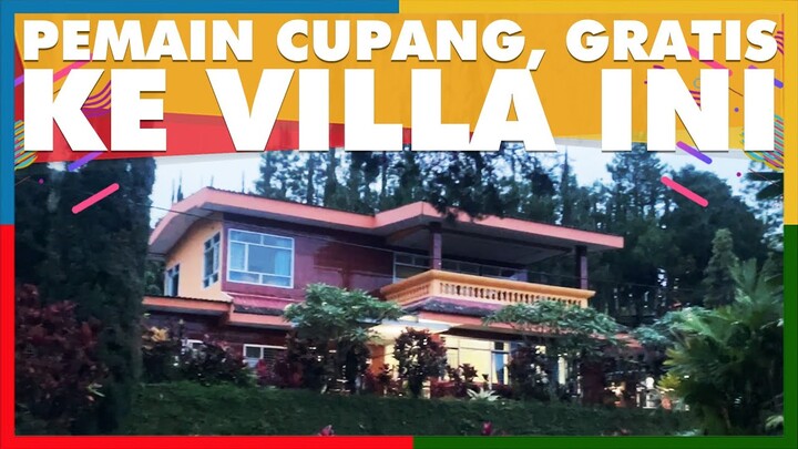 cupang satukan kami (joki cupang, wajib menang kalau mau pulang)