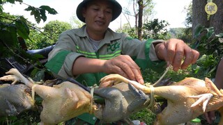 NƯỚNG CẢ ĐÀN GÀ ĐEN | Nhịp Sống Tây Bắc