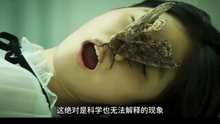 这绝对是科学解释不了的现象，小男孩只是想看看刚死的亲人，却发现了惊奇的一幕！  一口气看完高分电影《三天》！