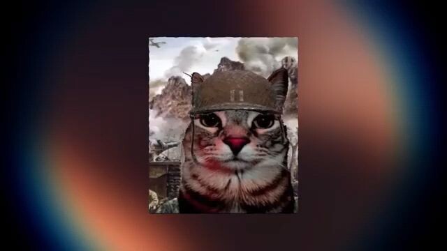 How did the thousand yard stare became a meme?