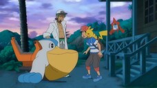 [S22 Alola] Pokémon Tập 955 - Satoshi tới nhà Kaki!