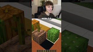 2 Dumme 1 Gedanke mit @tordishorts! 😲😂 #minecraft #platinumdot #lustig