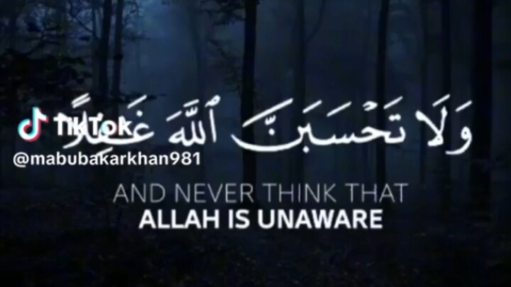 Beautiful Quran Recitation | Heart Touching TilawatListen to the Holy Quran and Find PeacePeaceful Q