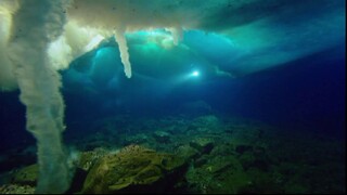 [Tập 1 - Thuyết Minh] Hành tinh băng giá 2 - Frozen Planet 2 (2022) E01