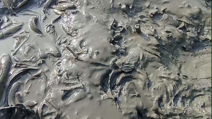 আলহামদুলিল্লাহ ।