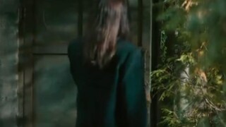Pandora action series