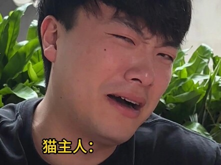 Kerusakan yang ditimbulkan oleh keluarga asal pada kucing takkan bisa diperbaiki hanya dengan bebera