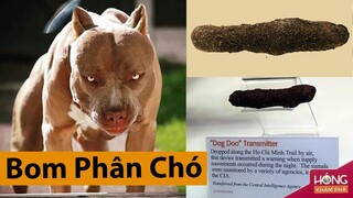 "B.om Phân Chó" và top 5 loại vũ khí bí mật của Mỹ tại Việt Nam| Hóng Khám Phá