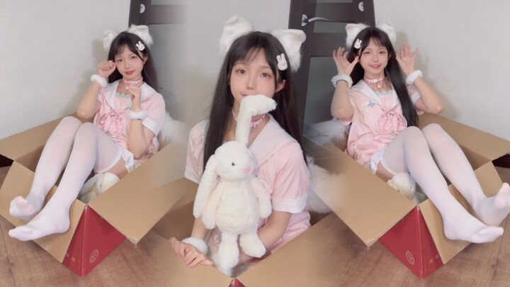 โลลิน่ารักแบ๊วน้องแมวสาว o(*≧▽≦)ツ ตอนนี้คือเวลาแห่งจินตนาการ!