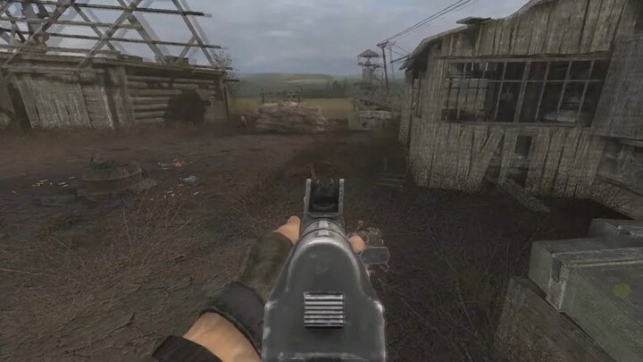 jamsker makhluk Chernobyl
