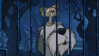 Chuyện Của Những Chú Chó 1973