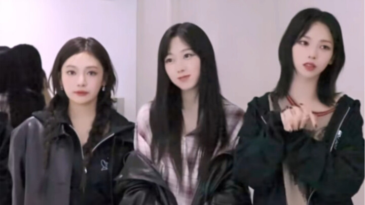 เห็นได้ชัดว่ามีลูกสุนัขตัวหนึ่งปะปนอยู่ในพวกเธอ