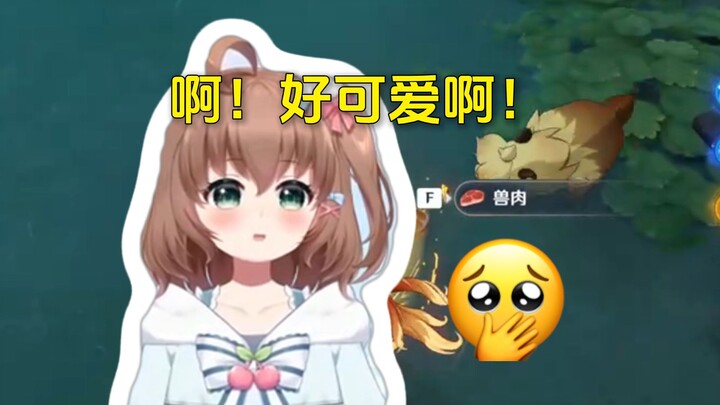 多多的可爱侵犯欲犯了，好可爱啊啊啊！