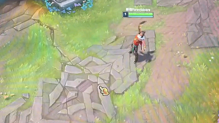 King's Sword Saint Beetle Short Video July 29, 2021, 09:40:50