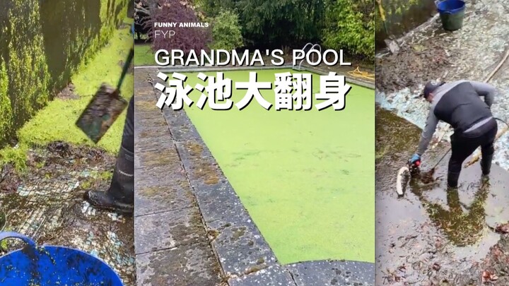 It's time to clean Grandma's pool!