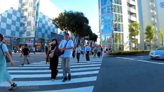 Tachikawa, Tokyo🐶Fun Spots♪💖4K Non-stop 1 hour