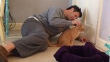 Cat is the perfect best friend - Cute And Funny Moments Cat And Human