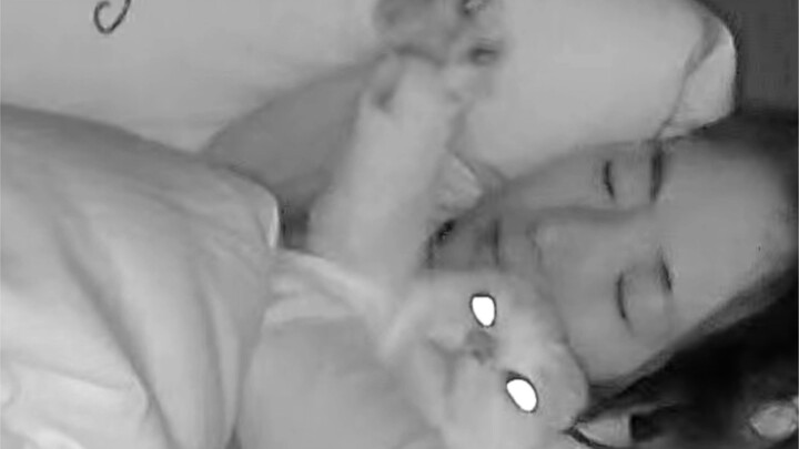 Mèo: Có kiểu người cứ lạnh là bảo tôi tê cóng, sợ tôi lạnh…