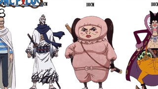 Inventaris ketinggian One Piece