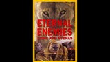 ETERNAL ENEMIES - LIONS AND HYENAS :D