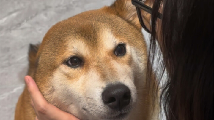 Mungkin aku belum cukup mengenal Chen Bafang.